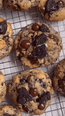 Oreo Chocolate Chip Cookies Cookies GIF - Oreo Chocolate Chip Cookies Cookies Oreo GIFs