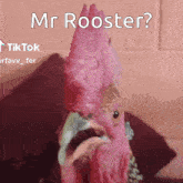 Mrrooster Suit GIF - Mrrooster Rooster Suit GIFs