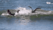 Wave Swimming GIF - Wave Swimming Sea GIFs