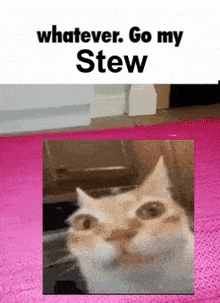 a picture of a cat with the words " whatever go my stew " below it