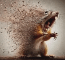 a squirrel is standing on a table with its mouth open and a lot of crumbs coming out of it .