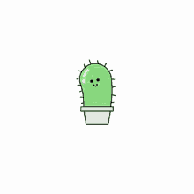 Cactus Hi GIF