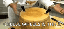 Cheese Wheel GIF