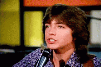 David Cassidy Patridge Family GIF - David Cassidy Patridge Family GIFs