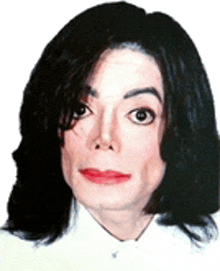 Mug Shot Michael Jackson GIF - Mug Shot Michael Jackson GIFs