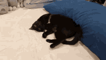 Cat Bed GIF - Cat Bed Fun GIFs