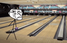 Trowling Trolling GIF - Trowling Trolling Bowling GIFs