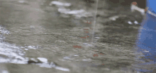 Chuva GIF - Water Splash Rain GIFs