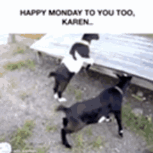 Happy Monday Karen GIF - Happy Monday Karen Fainting GIFs