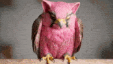a pink owl with a yellow beak is sitting on a perch