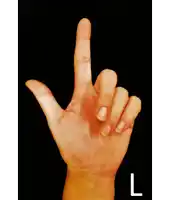 a person 's hand is shown with the letter l on the bottom