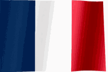 france flag of france flag flag waver
