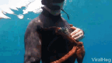 Clingy Octopus Friendly Octopus GIF - Clingy Octopus Friendly Octopus Sea Life GIFs