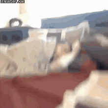 a blurred image of a person holding a piece of paper with the website senorgif.com in the corner