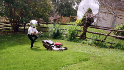 Discoholic Lawnmower GIF - Discoholic Lawnmower Mowing GIFs
