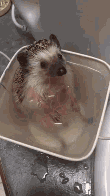 Bath Time Tippy Tapping GIF