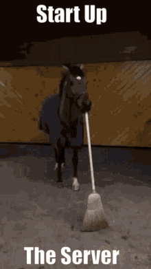 Horse Broom GIF - Horse Broom Start Up The Minecraft Server GIFs