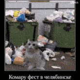 a cat is sitting in front of a pile of trash cans .