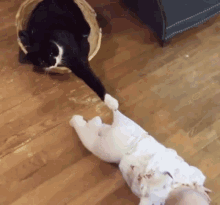 a black and white cat is playing with a baby on the floor .