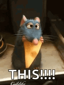 a cartoon rat is holding a piece of cheese and says `` this !!! '' .
