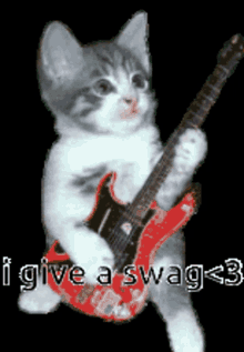 Swag Cat With Guitar GIF - Swag Cat With Guitar GIFs