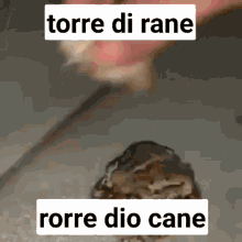 Rane Diocane GIF - Rane Diocane Torre GIFs