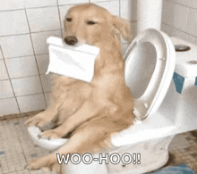 Dog Toilet GIF - Dog Toilet Onthetoilet GIFs