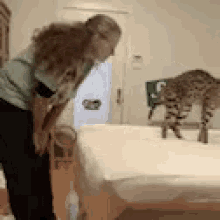 Cats Love GIF - Cats Love Funny Animals GIFs