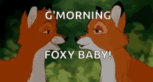 G Morning Foxy Baby Nose To Nose GIF - G Morning Foxy Baby Nose To Nose Cute GIFs