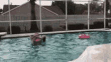 Future Dad Swimming Pool GIF - Future Dad Swimming Pool Dunk GIFs