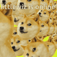 Littlewiz Is Online GIF - Littlewiz Is Online GIFs