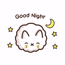 animal kitty cat cute good night animal kitty cat cute good night