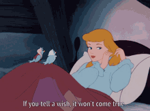 If You Tell A Wish It Wont Come True Cinderella GIF - If You Tell A Wish It Wont Come True Cinderella Disney GIFs