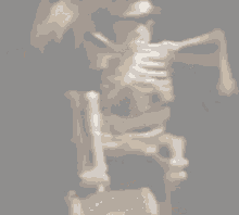 Animeskeleton Boomer GIF - Animeskeleton Boomer Pirate Skeleton GIFs