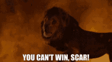 The Lion Kong Simba GIF - The Lion Kong Simba You Cant Win Scar GIFs