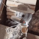 a cat wearing a hat is drinking from a straw