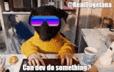 a dog wearing sunglasses and a yellow sweater is typing on a keyboard with the caption " can dev do something "