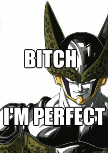 a cell from dragon ball z says " bitch i 'm perfect "