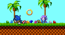 Sonic The Hedgehog Sash Lilac GIF - Sonic The Hedgehog Sonic Sash Lilac GIFs