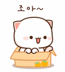 a cartoon cat is sitting in a cardboard box with korean writing on it .