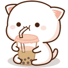 drink cat