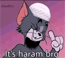 a cartoon cat wearing a white hat is giving the middle finger and saying `` it 's harem bro '' .