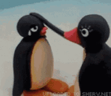 GIF