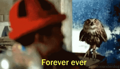 Outkast Forever Ever GIF - Outkast Forever Ever Owl GIFs