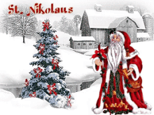 Saint Nicholas St Nikolaus GIF - Saint Nicholas St Nikolaus Poinsettia GIFs