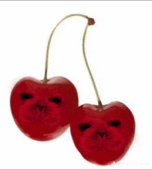 a pair of cherries with a cat face on them