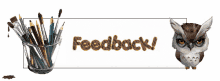 animated stickers owl animated feedback