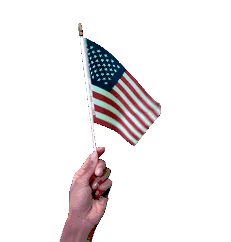 Halive2022 American Flag Sticker - Halive2022 American Flag America Stickers