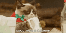 Needmorecoffee Grumpycat GIF - Needmorecoffee Grumpycat Christmascheer GIFs