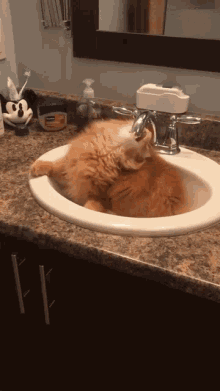 Cat Thirsty GIF - Cat Thirsty Mouth GIFs